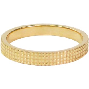 Charmins steel ring R316 gold