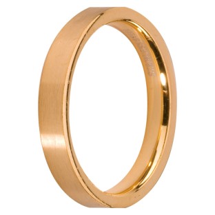 Melano Stainless Steel aanschuifring gold mat