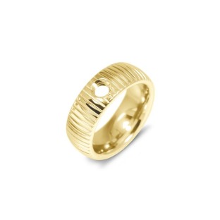 Melano Vivid ring striped gold