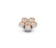 Melano Vivid zetting Botanical champagne