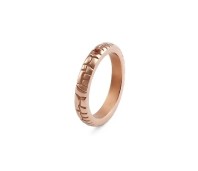 Qudo Interchangeable ring Segni gold