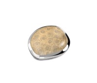 Kosmic by Melano shaped disk stone fossil coral