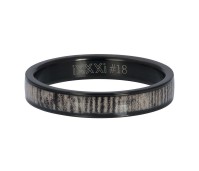 IXXXI vulring hyena