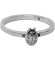 Charmins ladybug 072