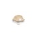 Melano Vivid zetting CZ 12 mm champagne