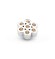 Melano Twisted zetting Bloom champagne