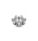 Melano Vivid zetting frozen flake crystal