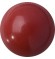Melano Cateye special stone coral