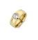 Melano Vivid ring notch gold