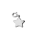 Melano Ornaments star CZ