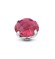 Melano Twisted zetting bold facet rose