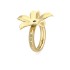Qudo interchangeable ring Pescia