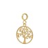 IXXXI Connect bedel life