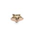 Qudo Interchangeable top Stellar golden shadow